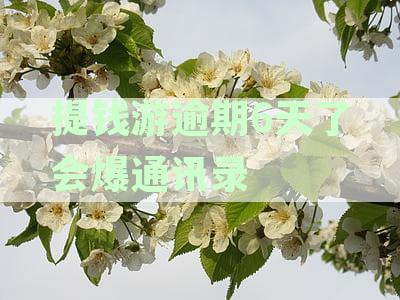 逾期多久后紧急联系人会被打电话？探讨5天逾期后电话联系人的具体时间点