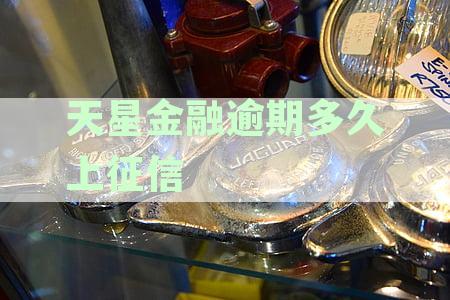 天星金融逾期还款对征信报告的具体影响与处理时长解析