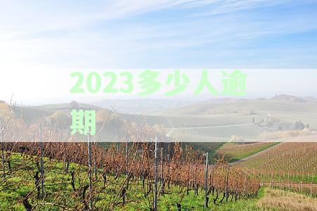 2023年度逾期人数统计：逾期贷款、信用卡、消费分期等全方位数据解析