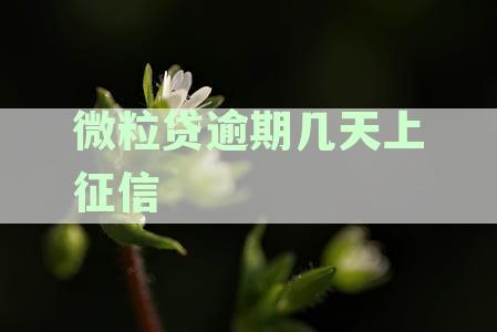 微粒贷逾期几天，征信记录显示多久及影响分析：逾期天会怎样上征信？