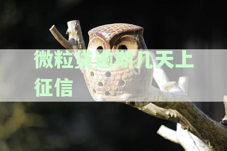 微粒贷逾期几天上征信