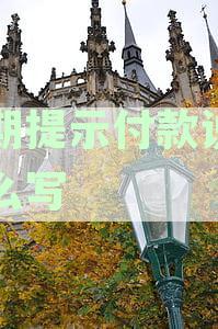 逾期提示付款说明怎么写文：包含逾期付款说明模板及理由撰写大全