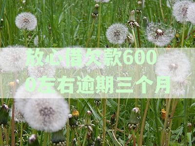 放心借科普：逾期几天后催收多久会打电话进行催款？