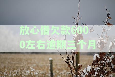 全面解析：放心借逾期三天影响与应对策略