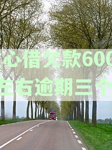 放心借：逾期多久会上征信，逾期多少天对信用影响多大