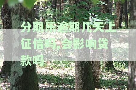 分期乐逾期几天有影响吗：逾期3天后果、信用影响及还款后使用情况解析