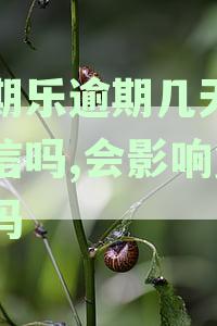 '分期还款逾期几天将上征信，逾期多久天会上征信系统详析'