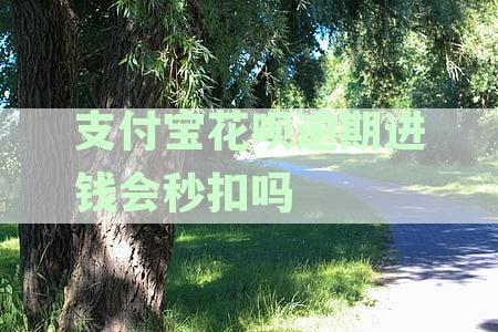 支付宝花呗逾期有钱入账，银行卡会即时扣除？银行最新资讯揭秘真相