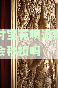花呗逾期后支付宝里的钱会被强行扣款吗及应对措与账户安全详解