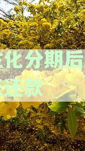 信用卡个性化分期还款逾期怎么处理，逾期还款怎么办详解