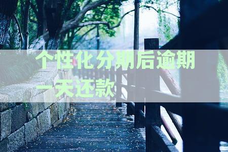 个性化分期逾期后能再次申请么-个性化分期再次逾期会怎么样