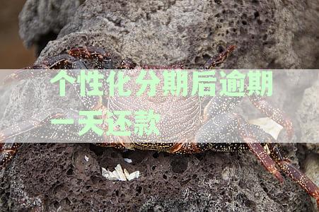 个性化分期后逾期一天还款