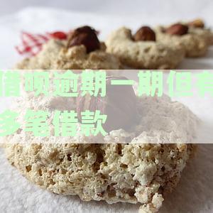 借呗逾期一期钱，剩下的要一次性付清吗？是真的吗，安全吗？