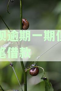 借呗逾期一期但有多笔借款