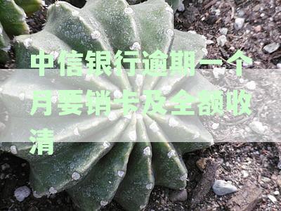 中信银行逾期一个多月还上之后还能继续取现吗？如何恢复正常取现功能？