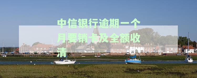 中信银行逾期了：本地银行电话协商、还款逾期疑问及未接电话处理
