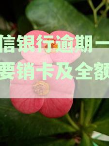 中信信用卡逾期仅几天即可停用，最低还款仍受中信银行保护