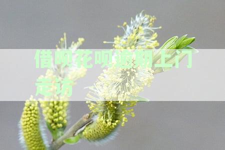 借呗花呗逾期处理指南：如何与催收人员约定上门走访时间及应对策略