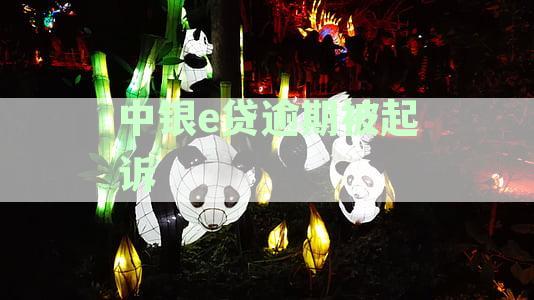 中国银行中银e贷逾期起诉流程：何时收到法院传票及应对策略全解析