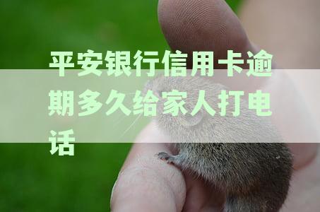 平安银行信用卡逾期后联系家人的时机与效果分析：逾期多久打电话最合适？