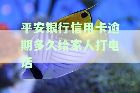 平安银行信用卡逾期多久给家人打电话