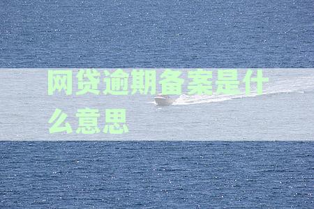 网贷逾期备案审核是什么意思：逾期进入备案调查流程详解