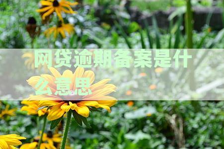 '揭开网贷逾期备案真相：逾期后备案声明是真的还是假的？'