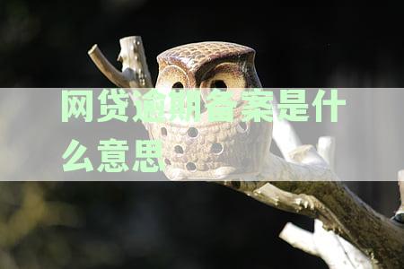 备案期时代：投资者如何全方位规避P2P网贷风险与雷区