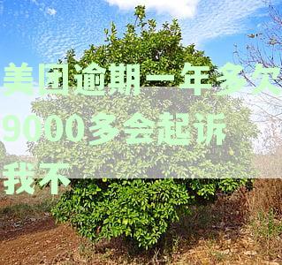 美团逾期一年多欠款9000余元，我会被起诉不还款吗？