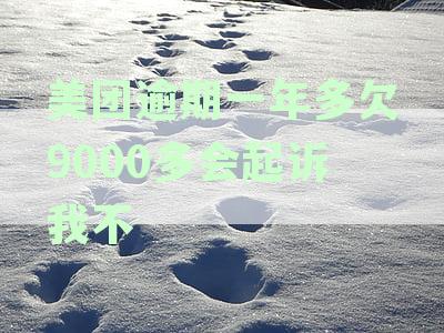 美团账户逾期超一年：解决策略、影响及用户维权指南