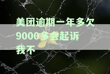 美团用户贷款逾期多久会被起诉？欠1万元逾期3个月，什么后果？最新资讯解析