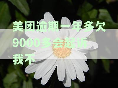美团逾期一年多欠9000多会起诉我不