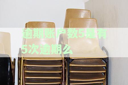 征信中逾期账户数是什么意思：解析逾期账户对征信报告的影响