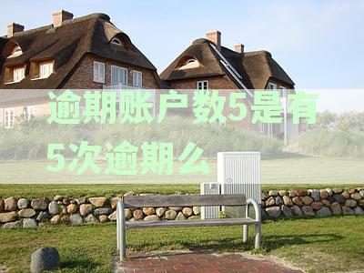 逾期账户数和逾期次数区别：含义、大小对比及相互关系解析