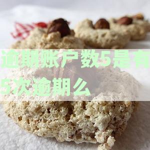 逾期账户数5是有5次逾期么