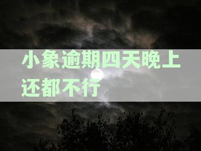 小象逾期四天晚上还都不行
