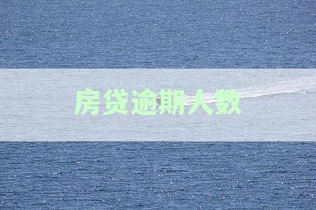2022年中国房贷逾期人数数据资讯：逾期房贷有多少人逾期