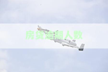 房贷逾期人数