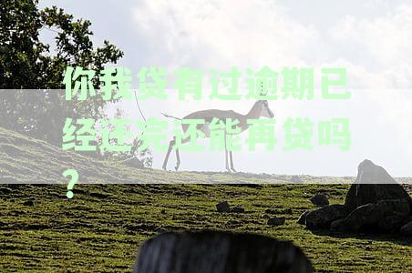 你我贷有过逾期已经还完还能再贷吗安全吗可靠否及再次借款可能性探讨