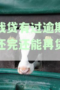 '你我贷逾期还款已还清，如何判断还能否再次借款？是否可以再贷款详解'