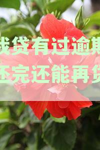 逾期还款后如何恢复你我贷借款资格及再次借款可能性分析