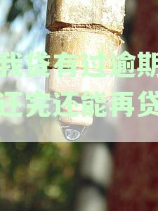 你我逾期两天还款后，还能再次借款贷款吗？