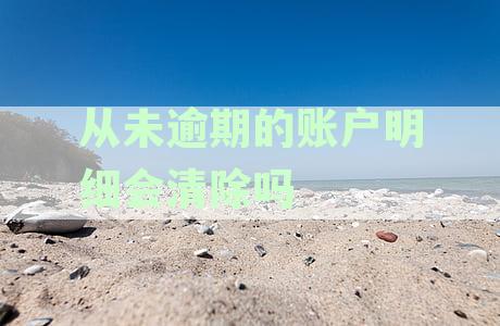 从未逾期的账户明细会清除吗怎么查，明细记录保留多久及查询方法详解