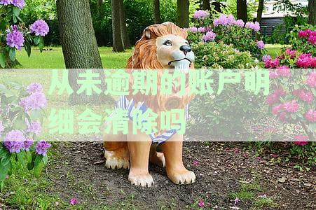 长期按时还款账户明细的存期限与清除政策详解