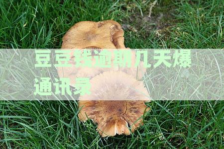 豆豆钱逾期几天爆通讯录