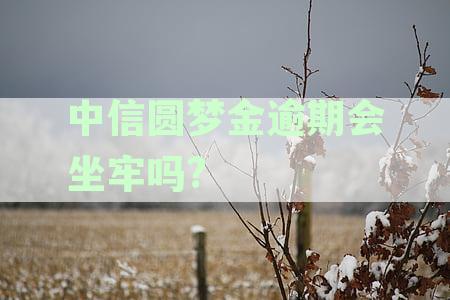 中信圆梦金逾期未还清，能否再次申请继续使用，探讨清还后能否继续申请条件