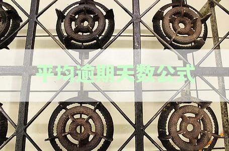 '应收账款平均逾期天数含义详解：信用卡逾期天数计算公式与信用资讯解读'