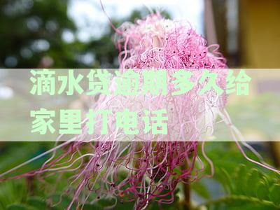 逾期贷款多久后贷款方会向家人家里打电话提醒？