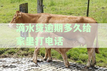 全面解析：滴水贷逾期何时影响征信及如何避免不良信用记录