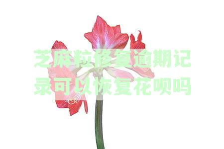 芝麻粒修复逾期记录可以恢复花呗吗安全吗及价格影响可靠性分析